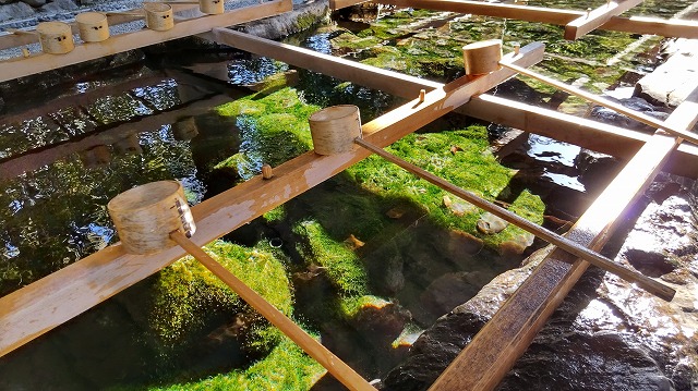 ファイル 506-1.jpg