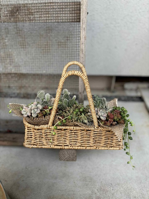 ファイル 507-2.jpg