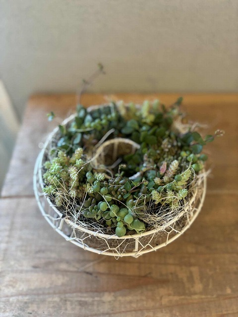 ファイル 508-5.jpg