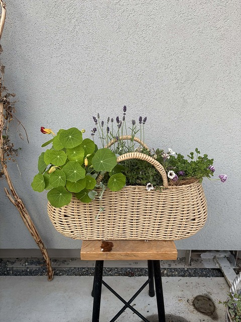 ファイル 510-5.jpg